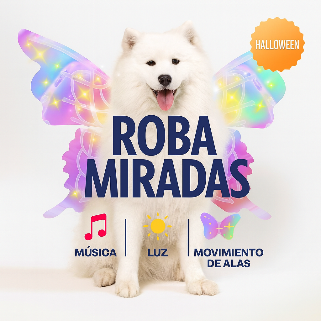Alas de Hada Mágicas para Perritos 🐶🧚