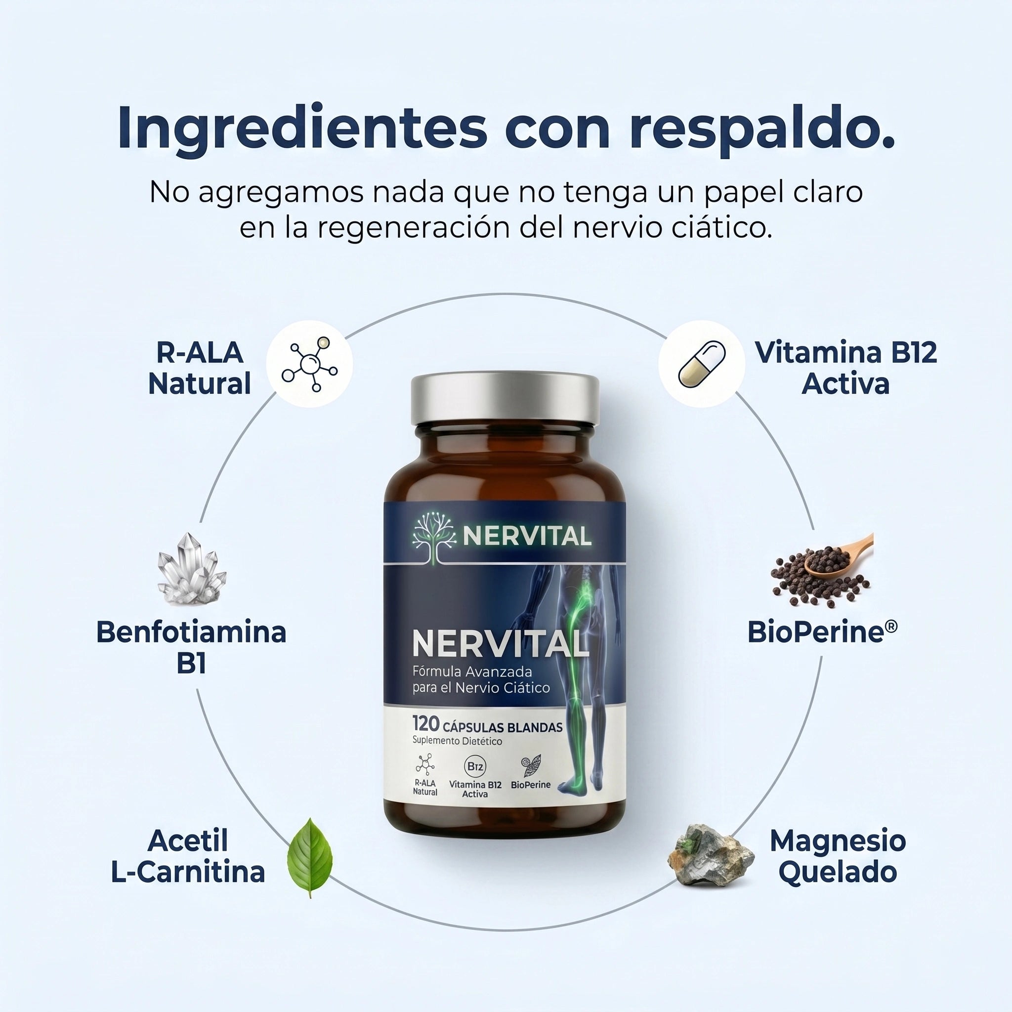 NERVITAL — Fórmula Avanzada para el Nervio Ciático
